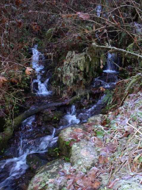 Silver Falls 12.10.05 020 